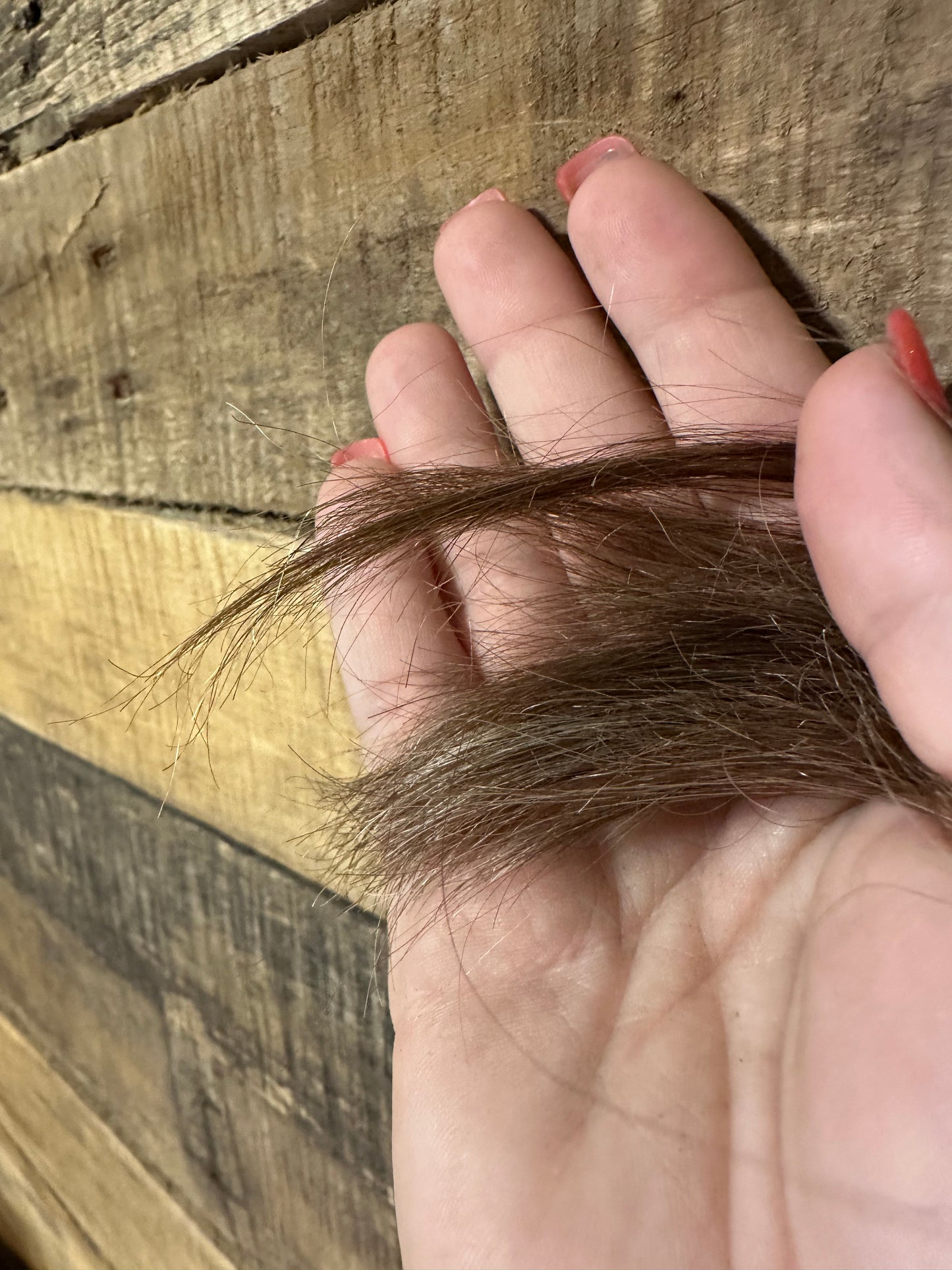 I have not cut my hair in 6months! My ends are completely beautiful and healthy!